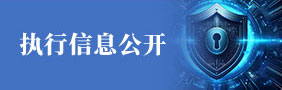 执行